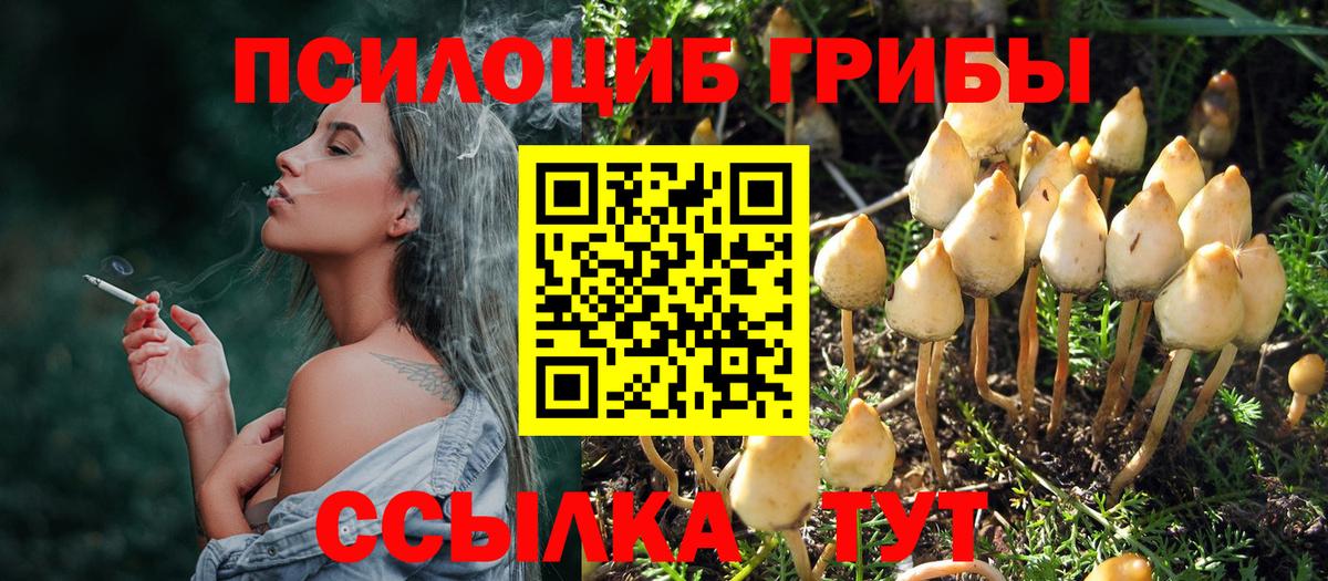 Псилоцибиновые грибы MAGIC MUSHROOMS Осинники